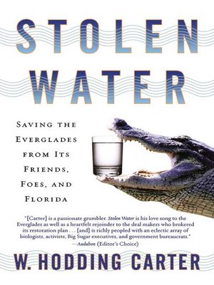 cover image of Stolen Water